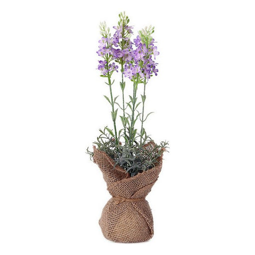 Planta Decorativa 119596 (37 cm)