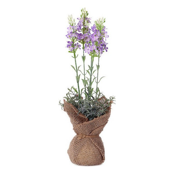 Planta Decorativa 119596 (37 cm)