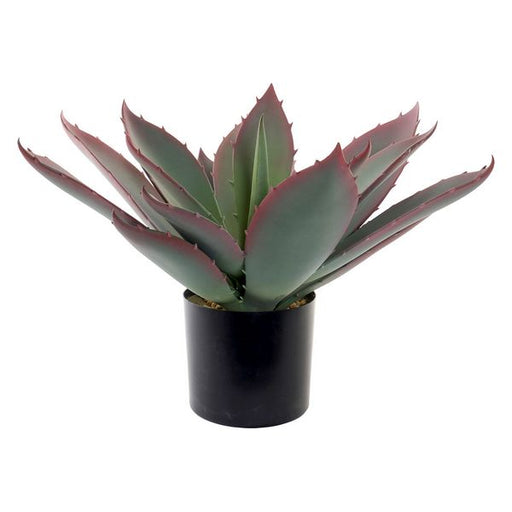 Planta Decorativa DKD Home Decor Polipropileno EVA (45 x 45 x 55 cm)