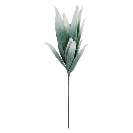 Planta Decorativa DKD Home Decor EVA (37 x 87 cm)