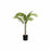 Planta Decorativa DKD Home Decor Preto Verde PVC Polipropileno (PP) (70 x 60 x 80 cm)