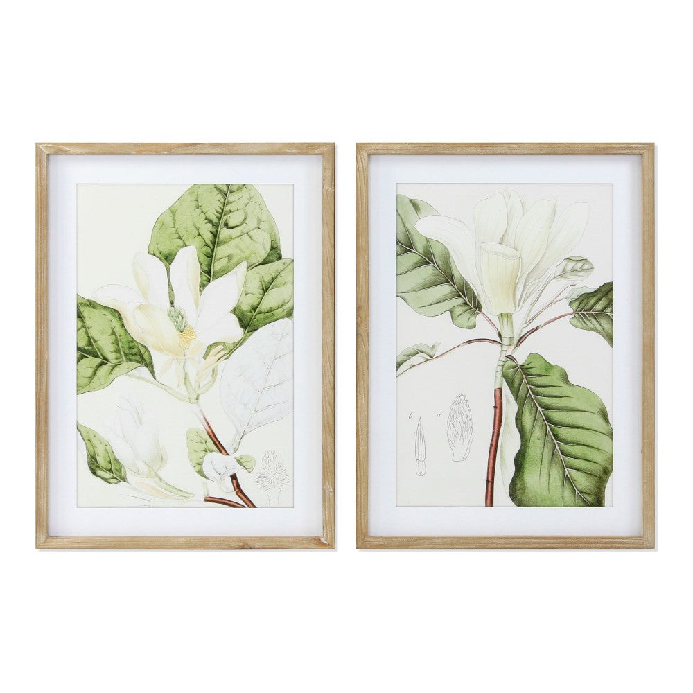 Pintura DKD Home Decor Flower (2 pcs) (50 x 2.5 x 70 cm)